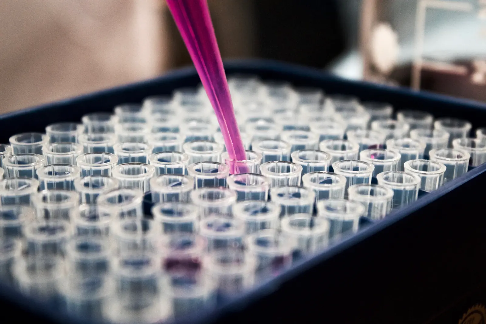 Pipette dispensing samples into a test plate